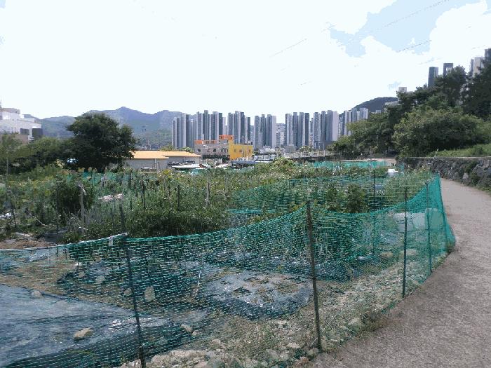 경상남도 거제시 상동동 726 답 경매 사진 1
