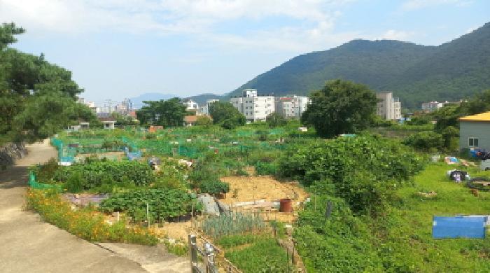 경상남도 거제시 상동동 726 답 경매 사진 6