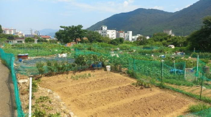 경상남도 거제시 상동동 726 답 경매 사진 7