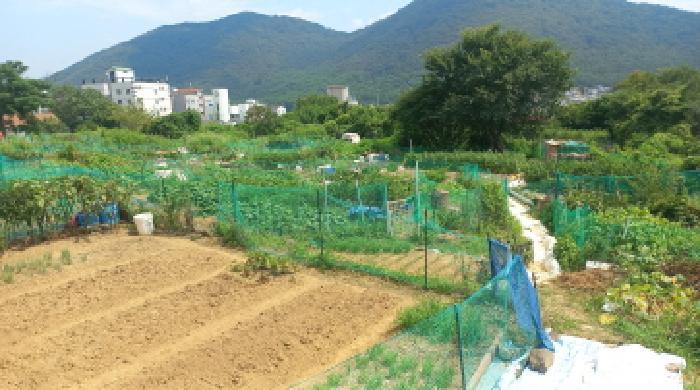 경상남도 거제시 상동동 726 답 경매 사진 8
