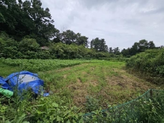 경상남도 진주시 평거동 120 전 경매 사진 11