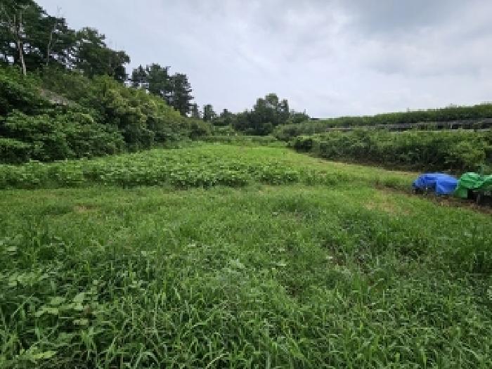 경상남도 진주시 평거동 120 전 경매 사진 7