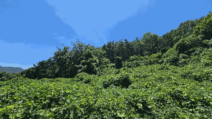 경상남도 남해군 전