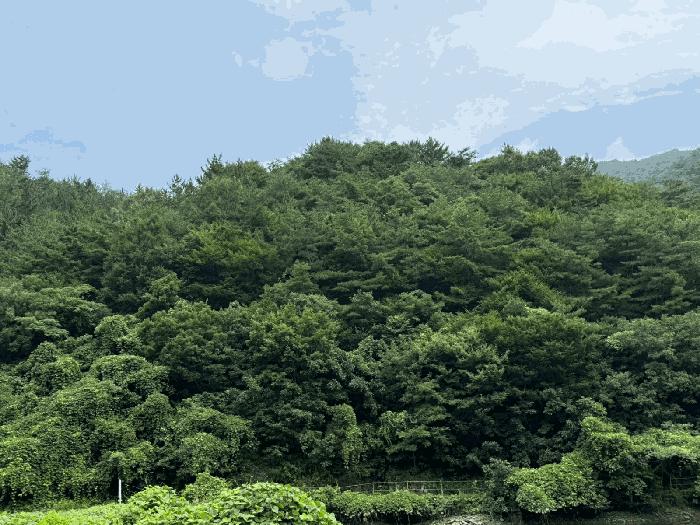 경상남도 진주시 임야
