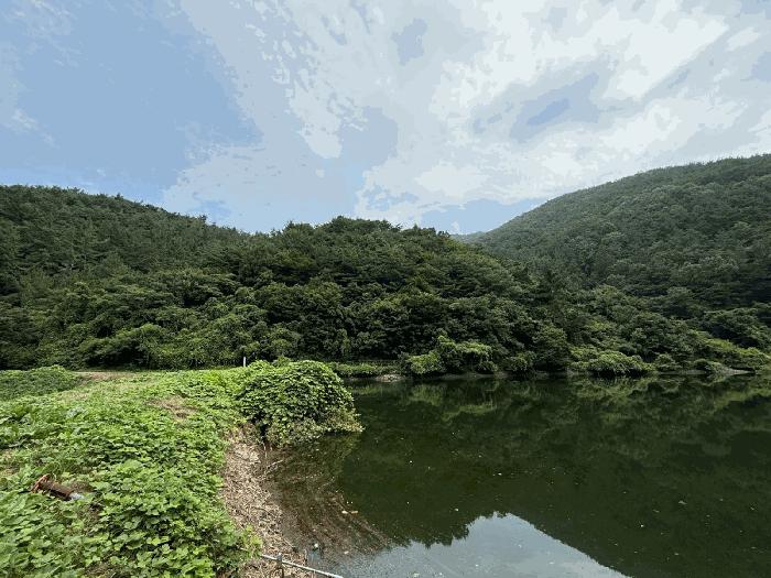 경상남도 진주시 이반성면 길성리 산8 임야 경매 사진 3