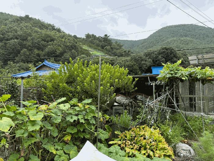 경상남도 진주시 이반성면 길성리 산8 임야 경매 사진 5