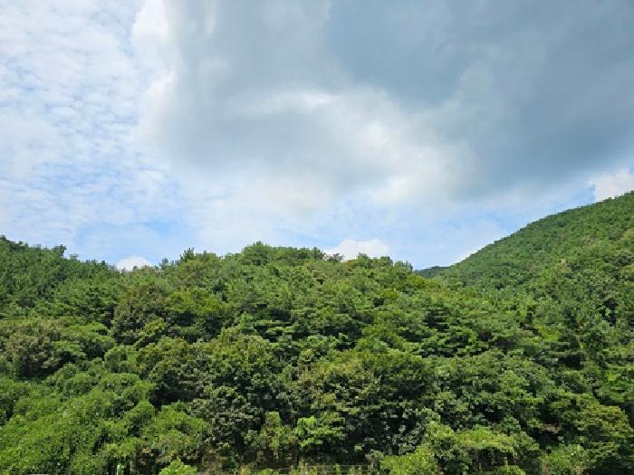 경상남도 진주시 이반성면 길성리 산8 임야 경매 사진 6