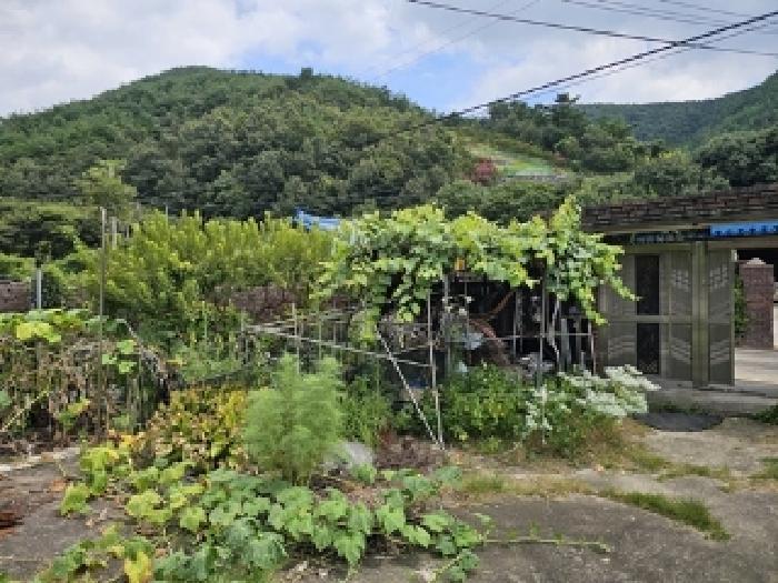 경상남도 진주시 이반성면 길성리 산8 임야 경매 사진 7
