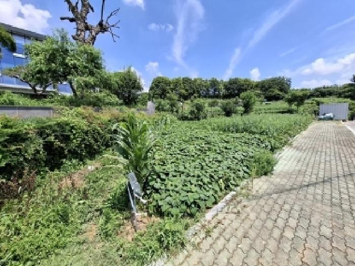 경상남도 사천시 사천읍 수석리 45-4 전 경매 사진 4
