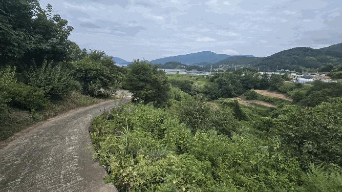 경상남도 남해군 고현면 갈화리 1453 전 경매 사진 2