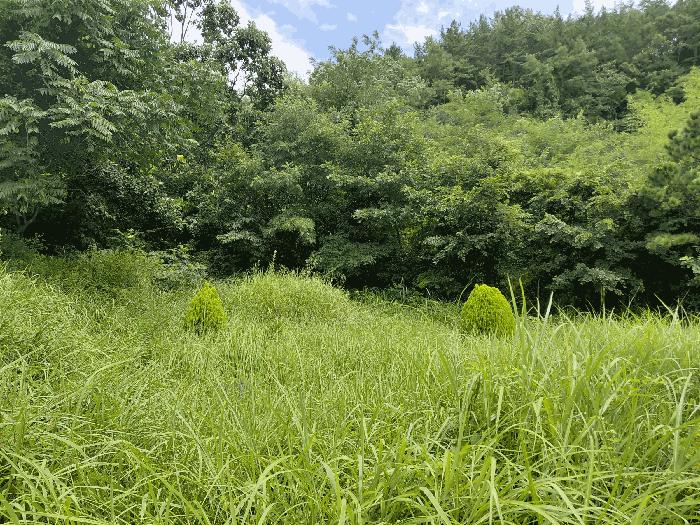 경상남도 산청군 생비량면 화현리 798-1 전 경매 사진 5