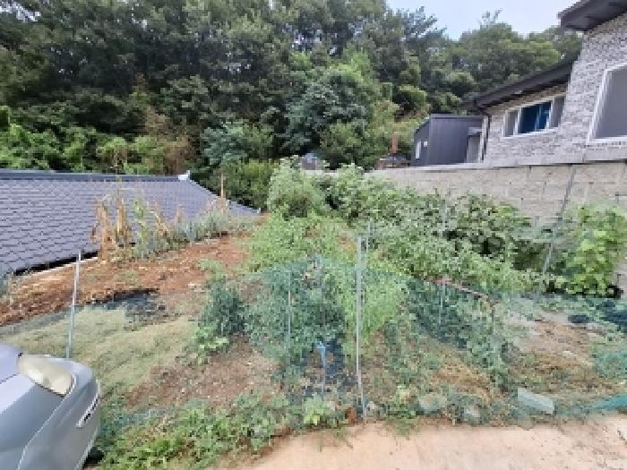 경상남도 남해군 설천면 문의리 975 주택 경매 사진 11