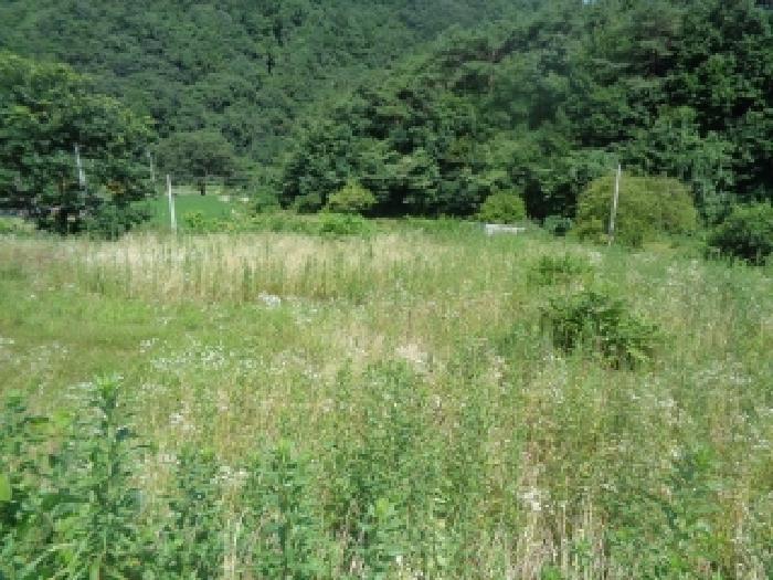 전북특별자치도 진안군 주천면 운봉리 487 답 경매 사진 12