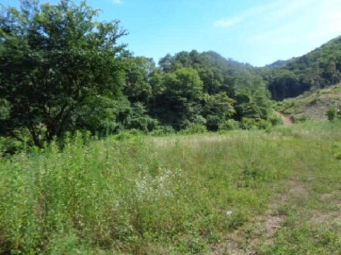 전북특별자치도 진안군 주천면 운봉리 487 답 경매 사진 6