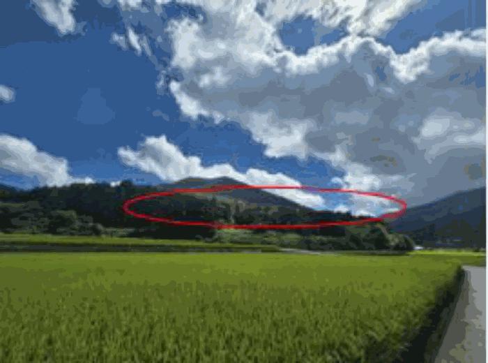 경상남도 남해군 삼동면 봉화리 산315-2 임야 경매 사진 3