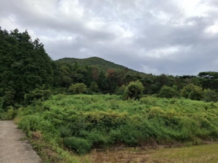 경상남도 남해군 삼동면 봉화리 산315-2 임야 경매 사진 5