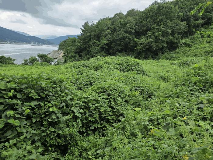 경상남도 남해군 창선면 진동리 323-3 답 경매 사진 3