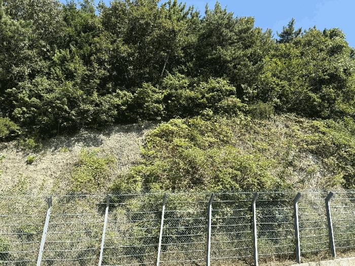 경상남도 남해군 미조면 송정리 산132-1 임야 경매 사진 4