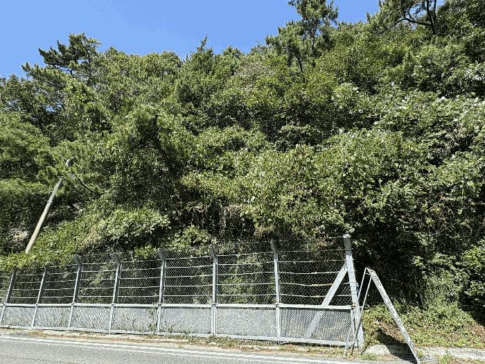 경상남도 남해군 미조면 송정리 산132-1 임야 경매 사진 5
