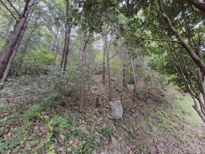 경상남도 남해군 미조면 송정리 산132-1 임야 경매 사진 9