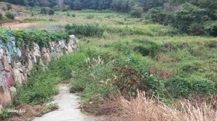 경상남도 거제시 남부면 저구리 648 답 경매 사진 7