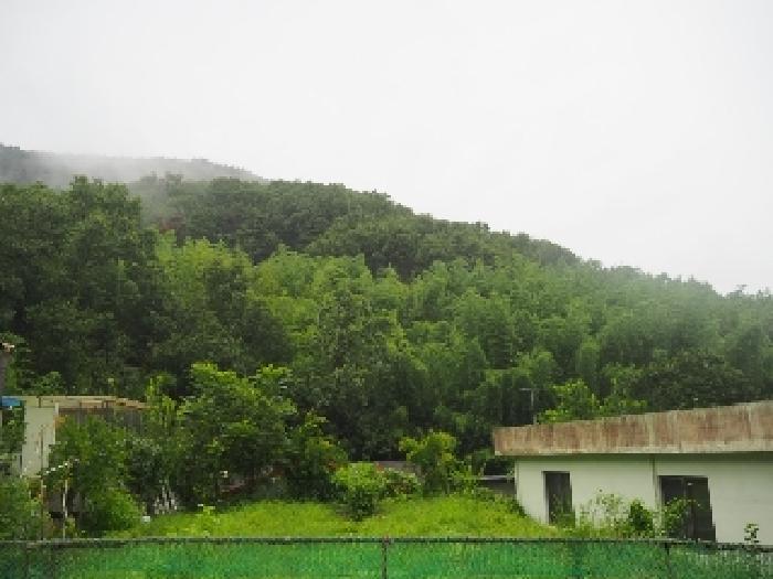 경상남도 밀양시 무안면 운정리 547 답 경매 사진 10