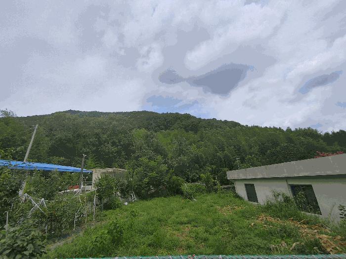 경상남도 밀양시 무안면 운정리 547 답 경매 사진 2