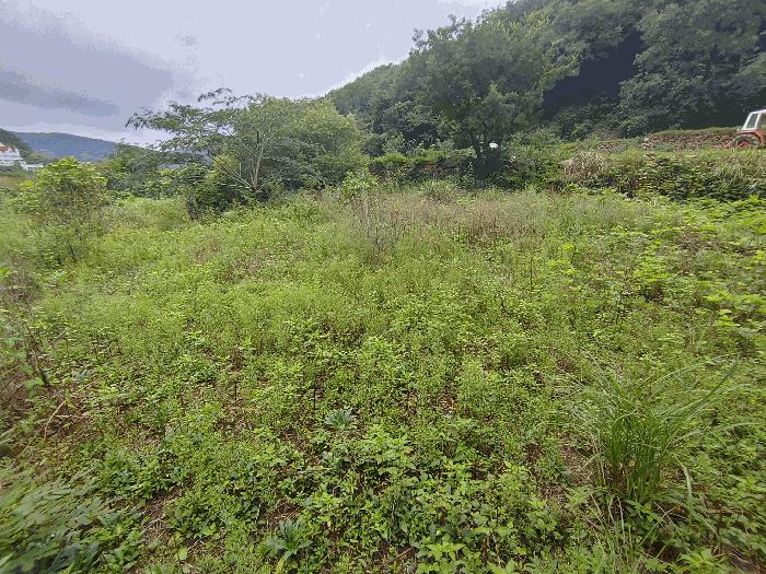 경상남도 밀양시 삼랑진읍 행곡리 1356-5 답 경매 사진 2