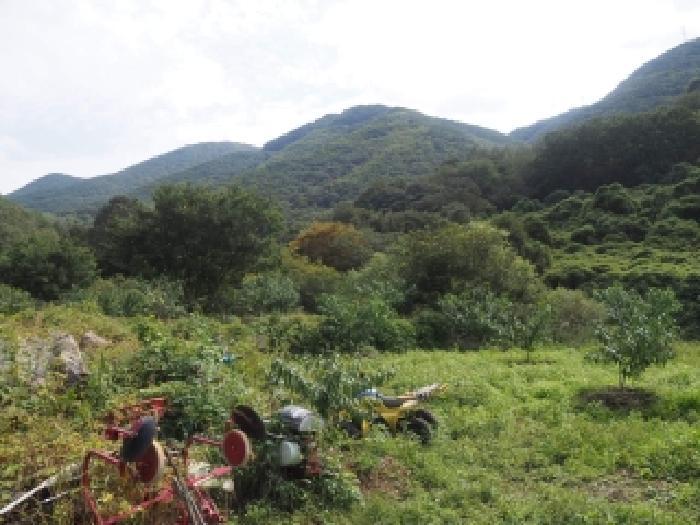 경상남도 밀양시 삼랑진읍 행곡리 1356-5 답 경매 사진 8