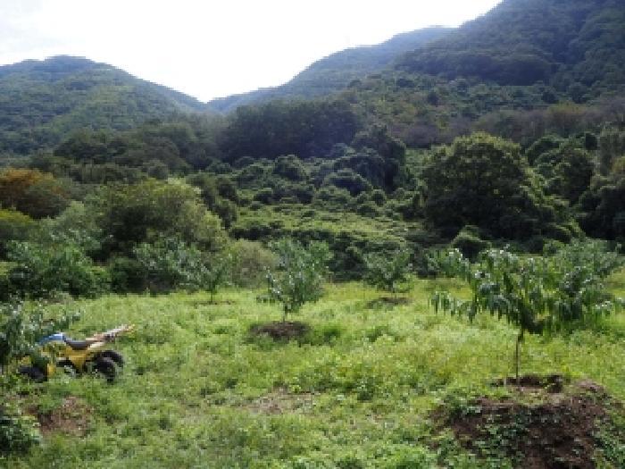 경상남도 밀양시 삼랑진읍 행곡리 1356-5 답 경매 사진 9