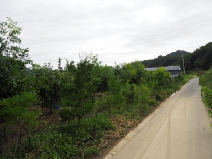 경상남도 창녕군 성산면 대견리 352 답 경매 사진 16
