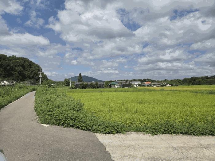 경상남도 창녕군 성산면 대견리 352 답 경매 사진 3