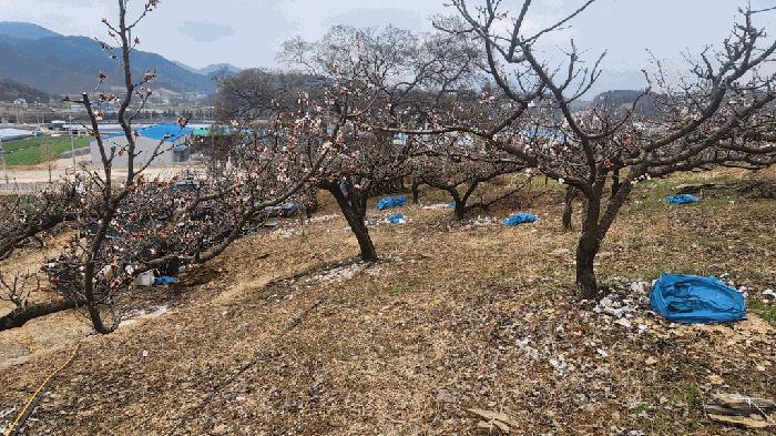 경상남도 창녕군 임야