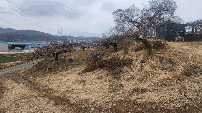 경상남도 창녕군 대합면 등지리 617-1 임야 경매 사진 2
