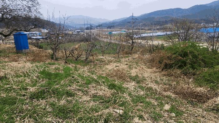 경상남도 창녕군 대합면 등지리 617-1 임야 경매 사진 5