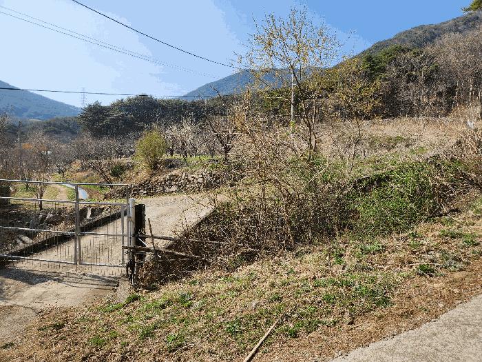 경상남도 창녕군 성산면 대산리 372 답 경매 사진 10