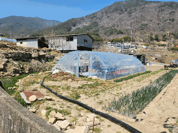 경상남도 창녕군 성산면 대산리 372 답 경매 사진 4