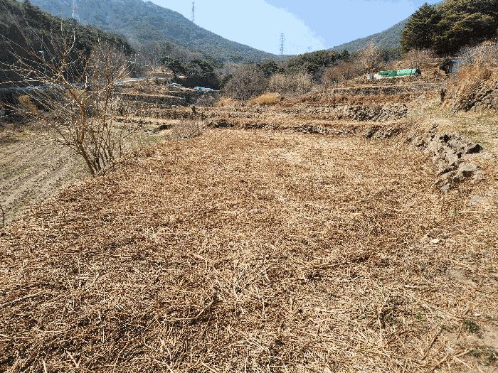 경상남도 창녕군 성산면 대산리 518 대지 경매 사진 11