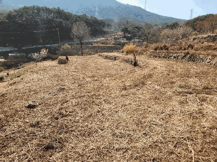 경상남도 창녕군 성산면 대산리 518 대지 경매 사진 7