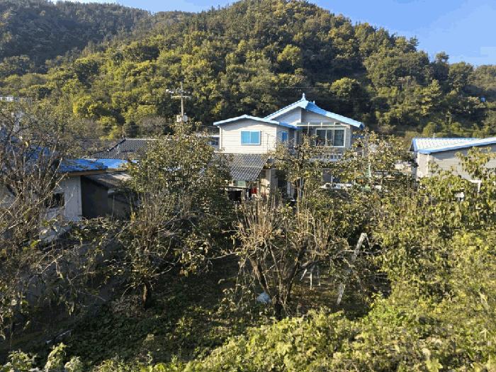 경상남도 밀양시 상동면 옥산리 152-9 주택 경매 사진 5