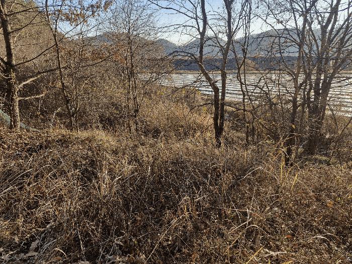 경상남도 창녕군 남지읍 성사리 864 전 경매 사진 2