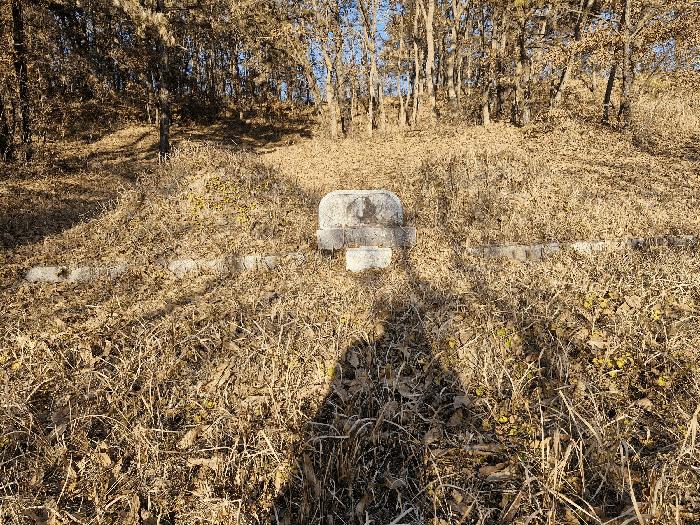 경상남도 창녕군 남지읍 성사리 864 전 경매 사진 3