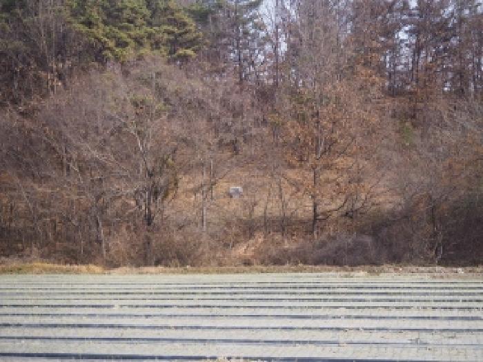 경상남도 창녕군 남지읍 성사리 864 전 경매 사진 5