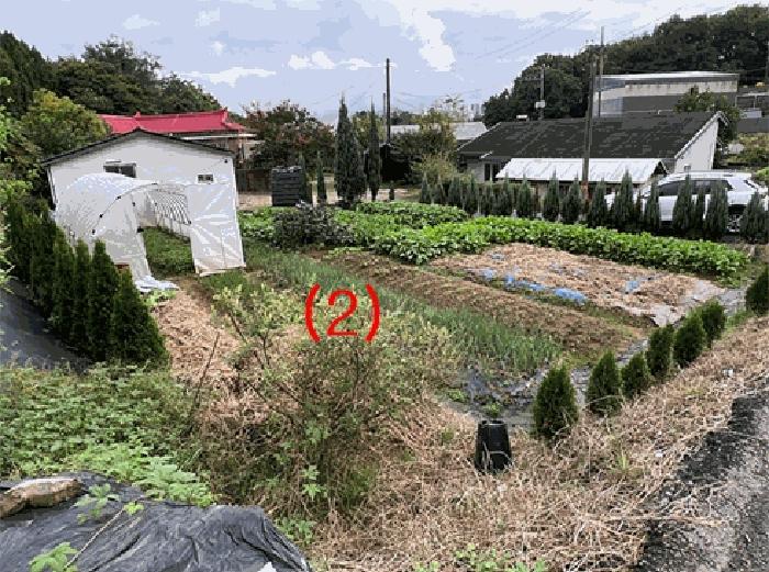인천광역시 서구 금곡동 117 전 경매 사진 6