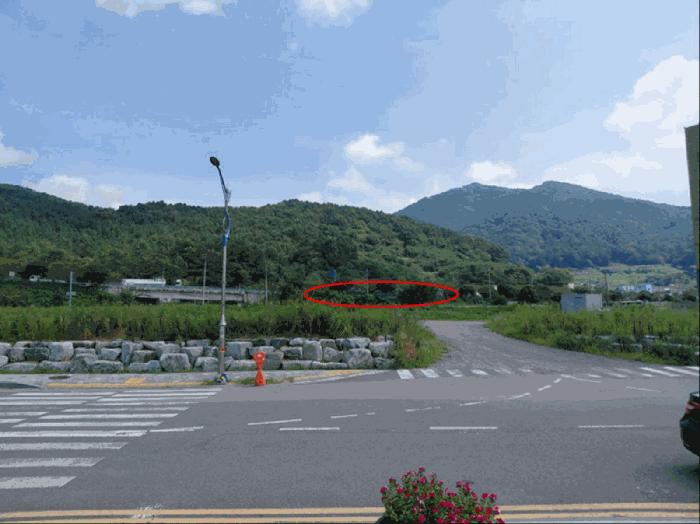 경상남도 사천시 실안동 936-1 상가 경매 사진 8