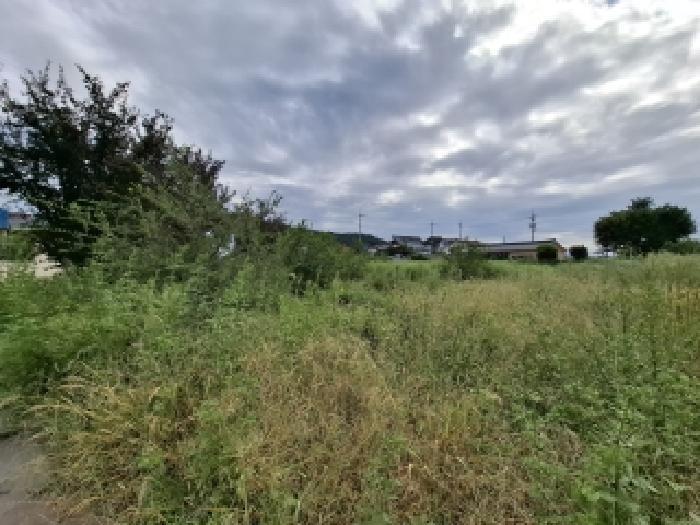 경상남도 남해군 삼동면 지족리 294-23 답 경매 사진 6