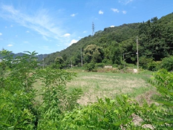 전북특별자치도 전주시 완산구 색장동 382-2 답 경매 사진 4