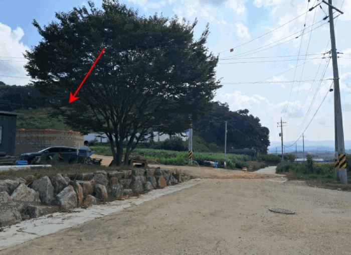 경기도 연천군 백학면 전동리 136 전 경매 사진 5