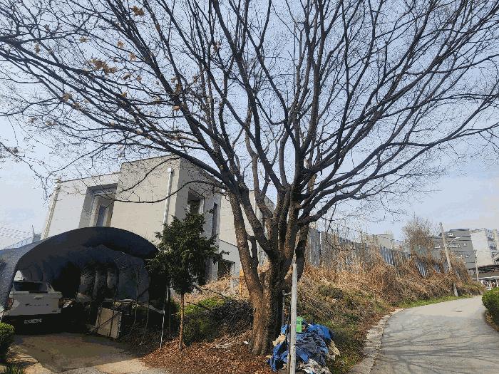 경기도 양주시 백석읍 방성리 183-9 주택 경매 사진 4