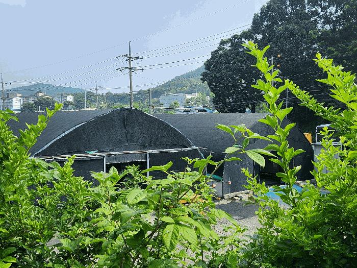 경기도 연천군 군남면 황지리 1041 전 경매 사진 11